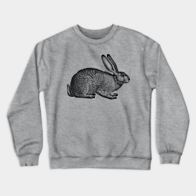 Rabbit - Hare - Bunny - nature - drawing, animal Crewneck Sweatshirt by AltrusianGrace